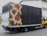 IVECO, Daily 65C21, E6